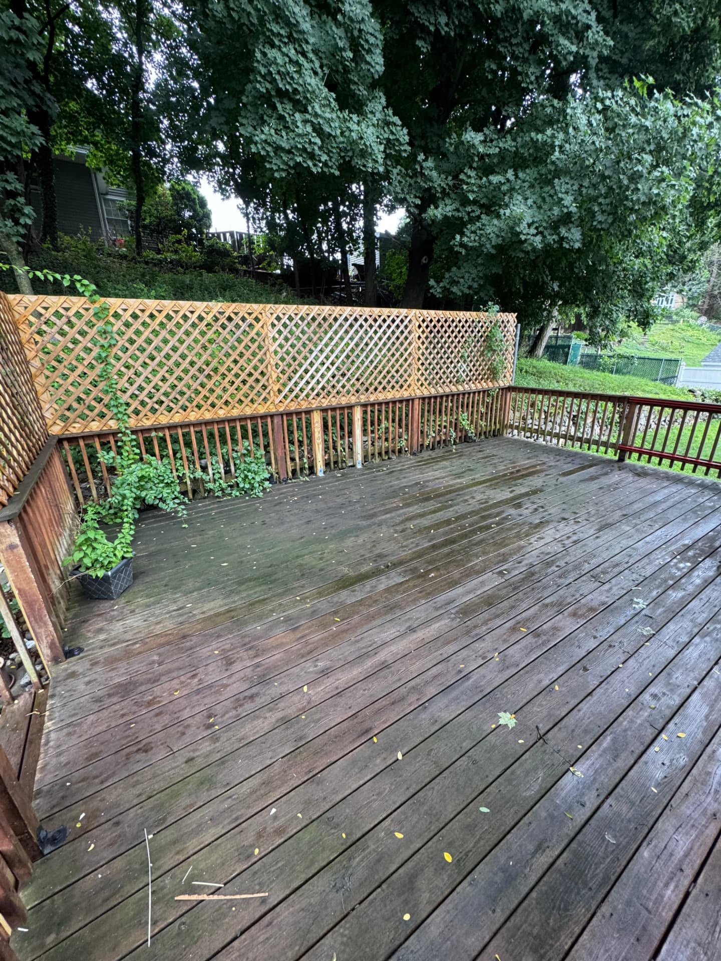 Wood deck before power washing with dirt, algae, mildew, and weathered gray boards